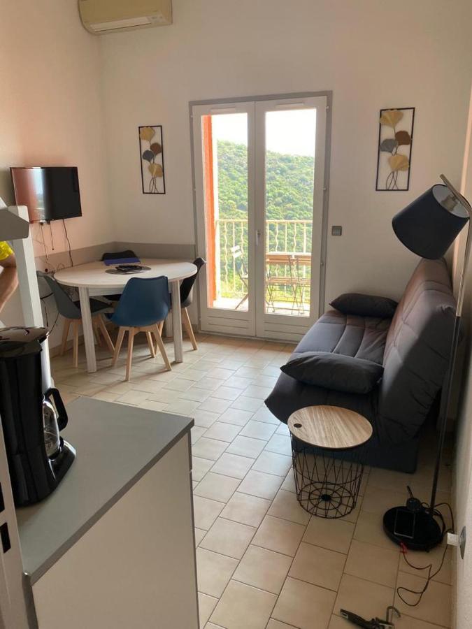 Location Vacance Vue Mer 4 A 6 Personnes Кавалере-сюр-Мер Екстериор снимка